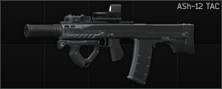 ASh-12 TAC
Цена обвесов: 116 530₽ ASh-12 TAC
