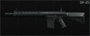 SR-25 Default SR-25 Default